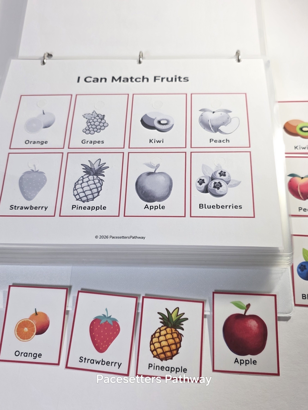 Pacesetters Preschool Kindergarten Readiness Learning Binder, For Ages 3-5, NEW - Picture 13 of 17